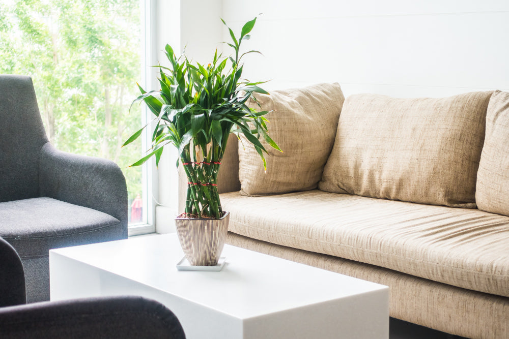 Couchtisch Höhe – Welche Höhe ist ideal und wie passt sie zum Sofa?