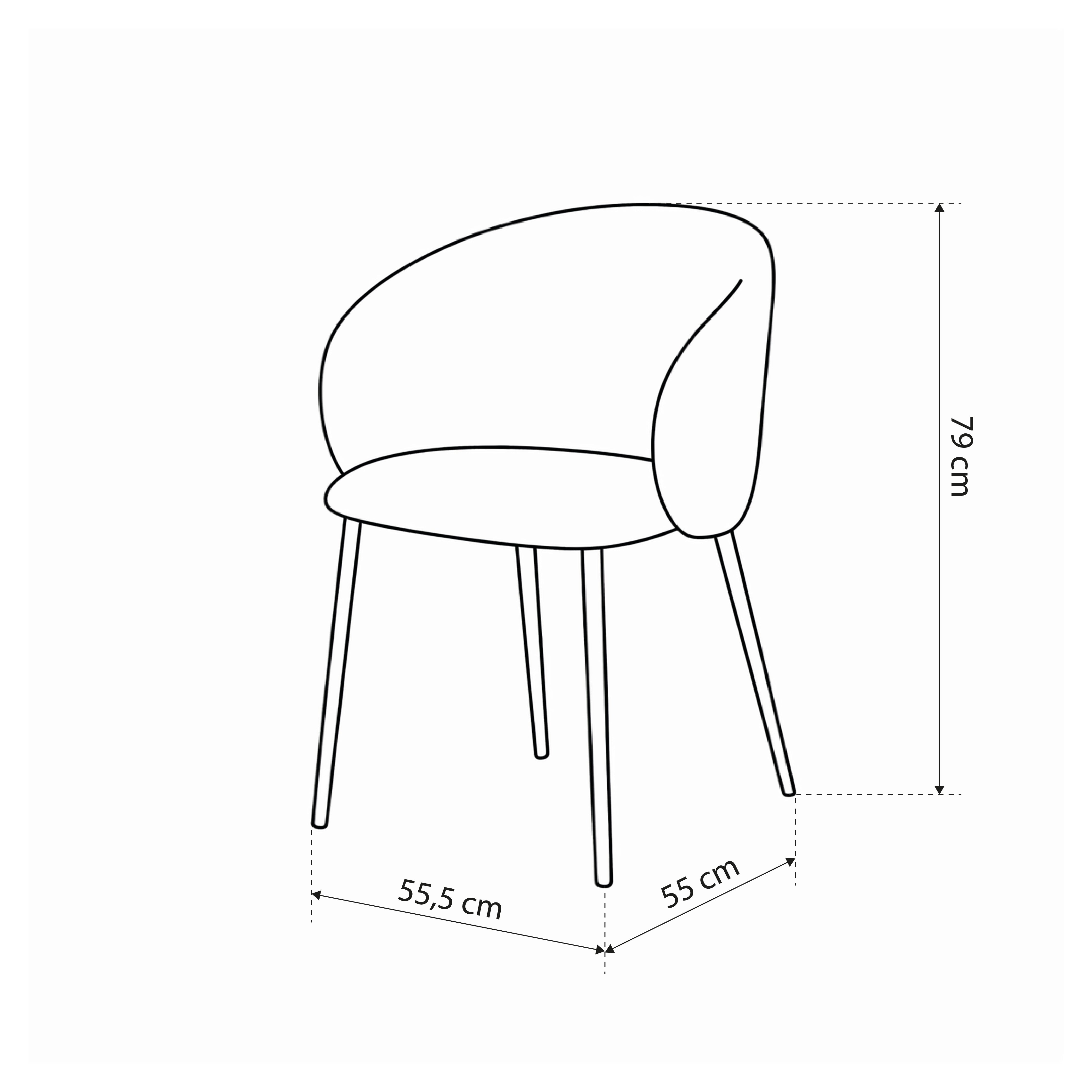 Set aus zwei Esszimmerstühlen im modernen Stil | Delmo