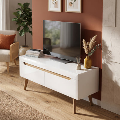Szafka RTV pod telewizor 107x50 w stylu skandynawskim | Trava