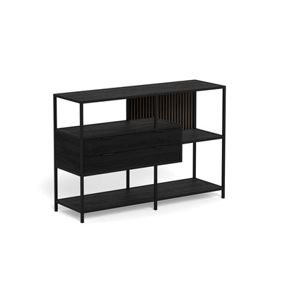 Niedriges Regal „Skeleto“ 114 x 78, schwarzes Melamin – Seitenansicht, schwarze Einlegeböden, Schubladen und Paneel mit Leisten