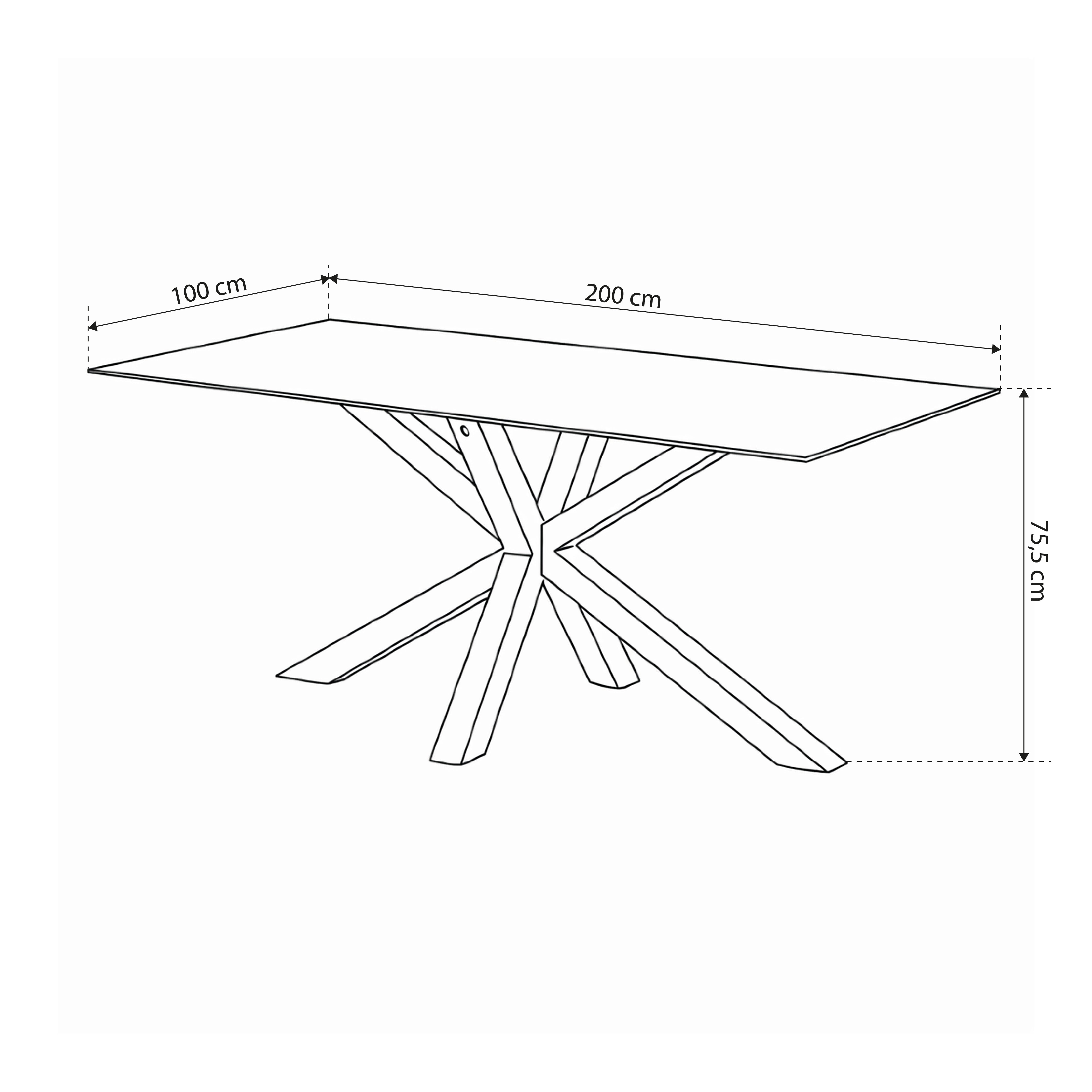 Esstisch 200x76 cm im modernen Stil | Oryss