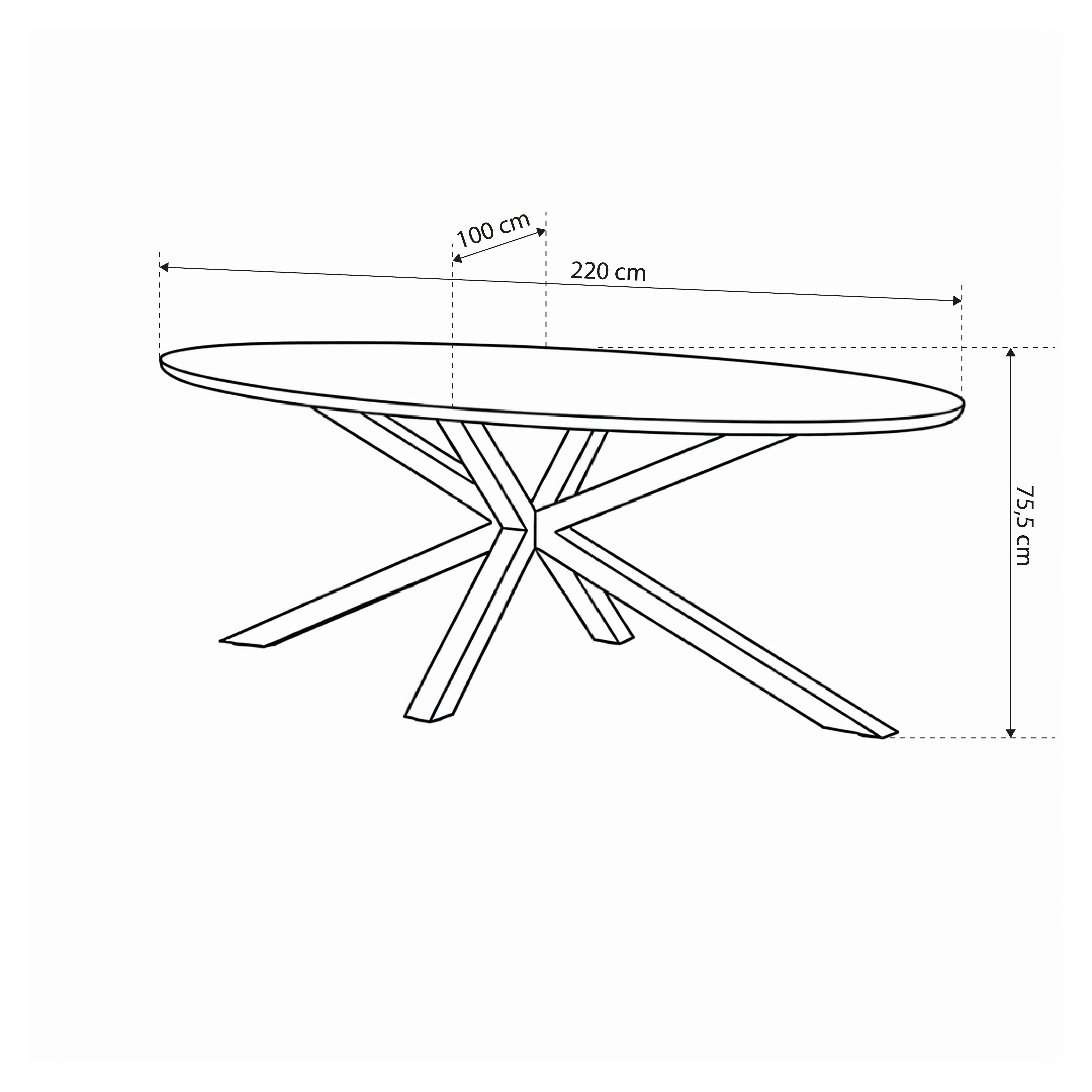 Großer ovaler Tisch 220x76 cm im Industrial-Stil | Surfo